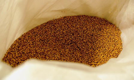 Raiskumietis