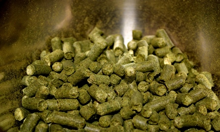 Raiskumietis